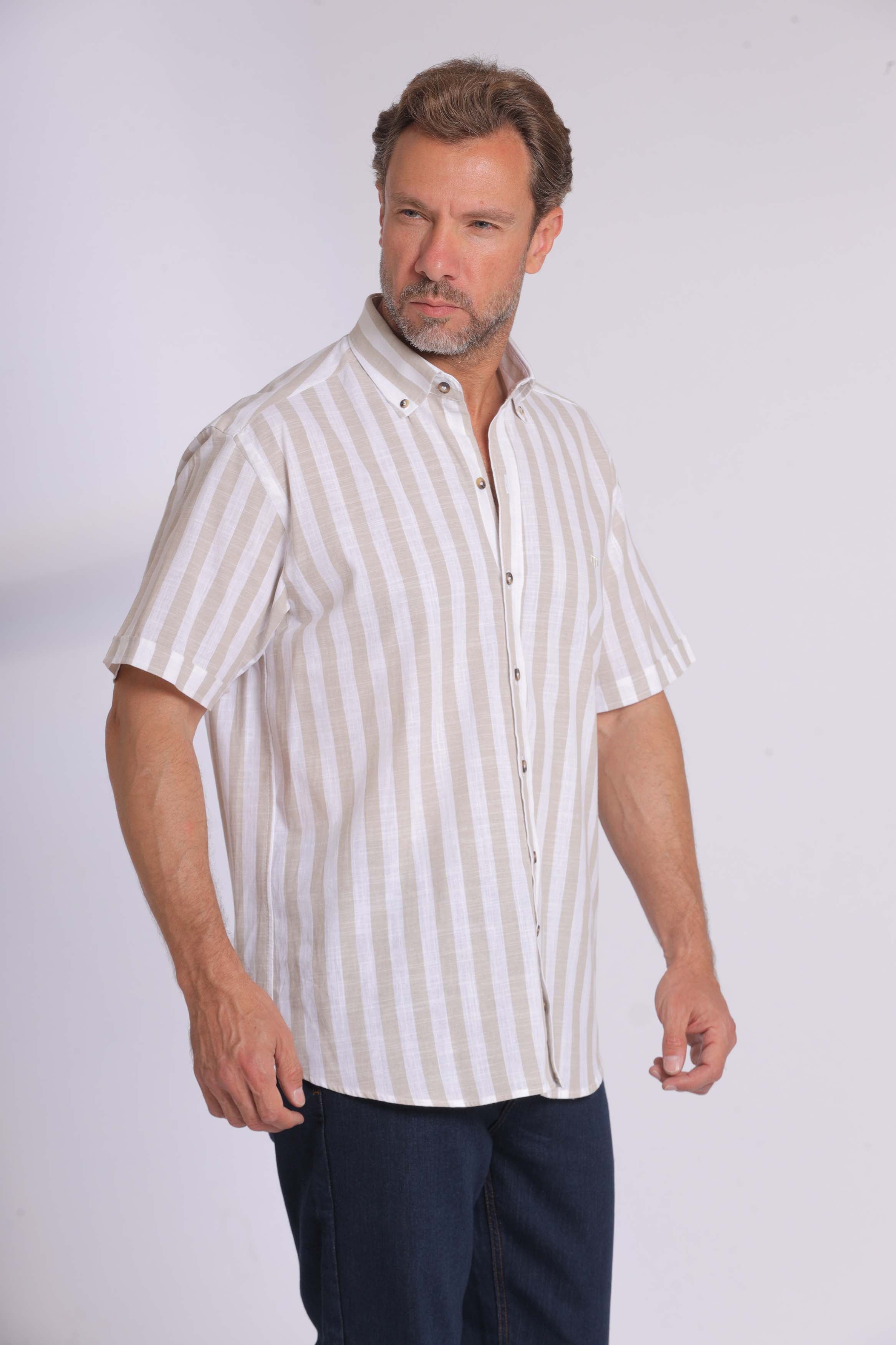 Linen Blue Striped Short Sleeve Shirt