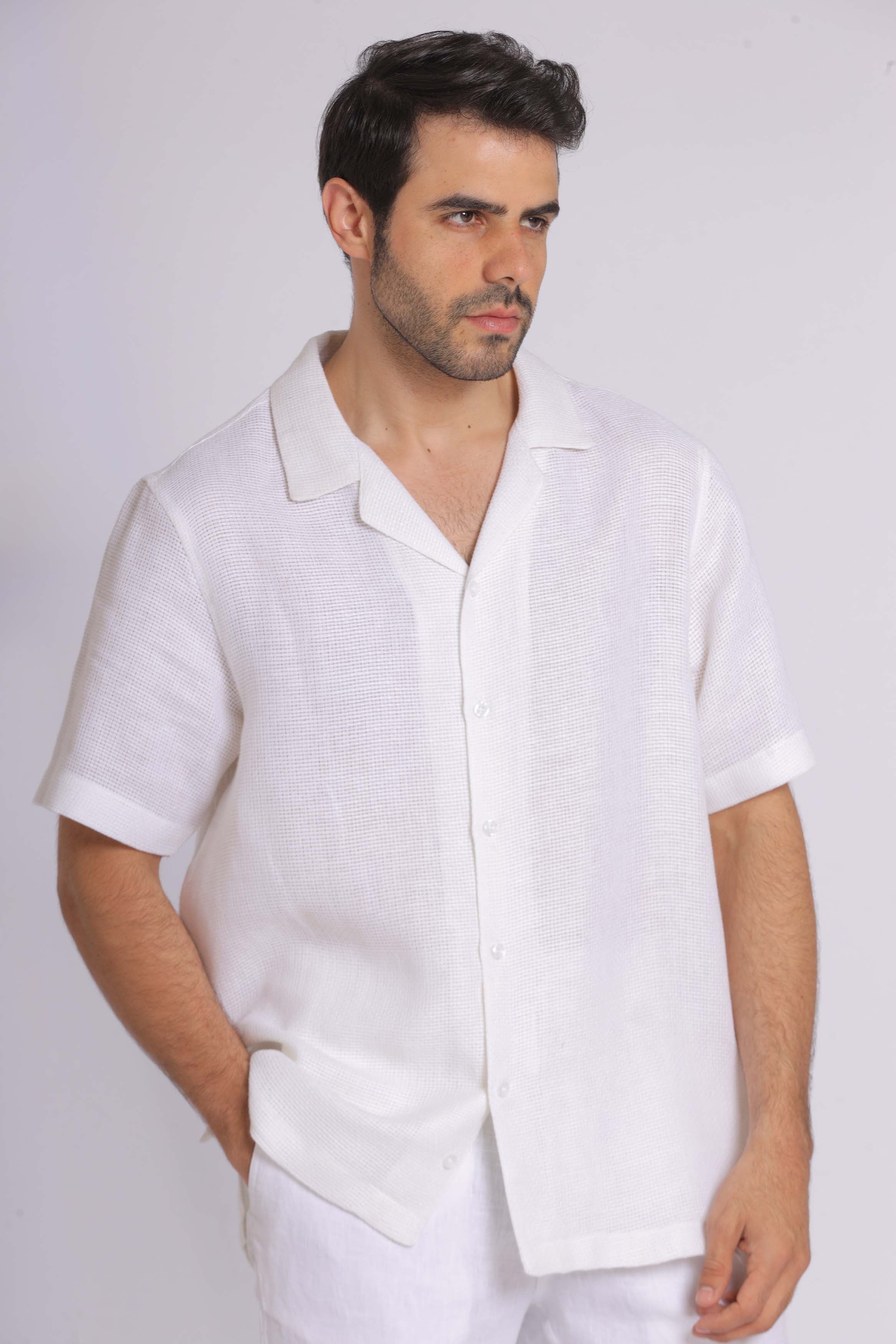 Linen Oversized Short Sleeved Shirt